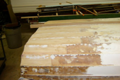 hals-18-009_med